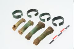 Foto von Bronzering (NHMW-PRAE-025442)